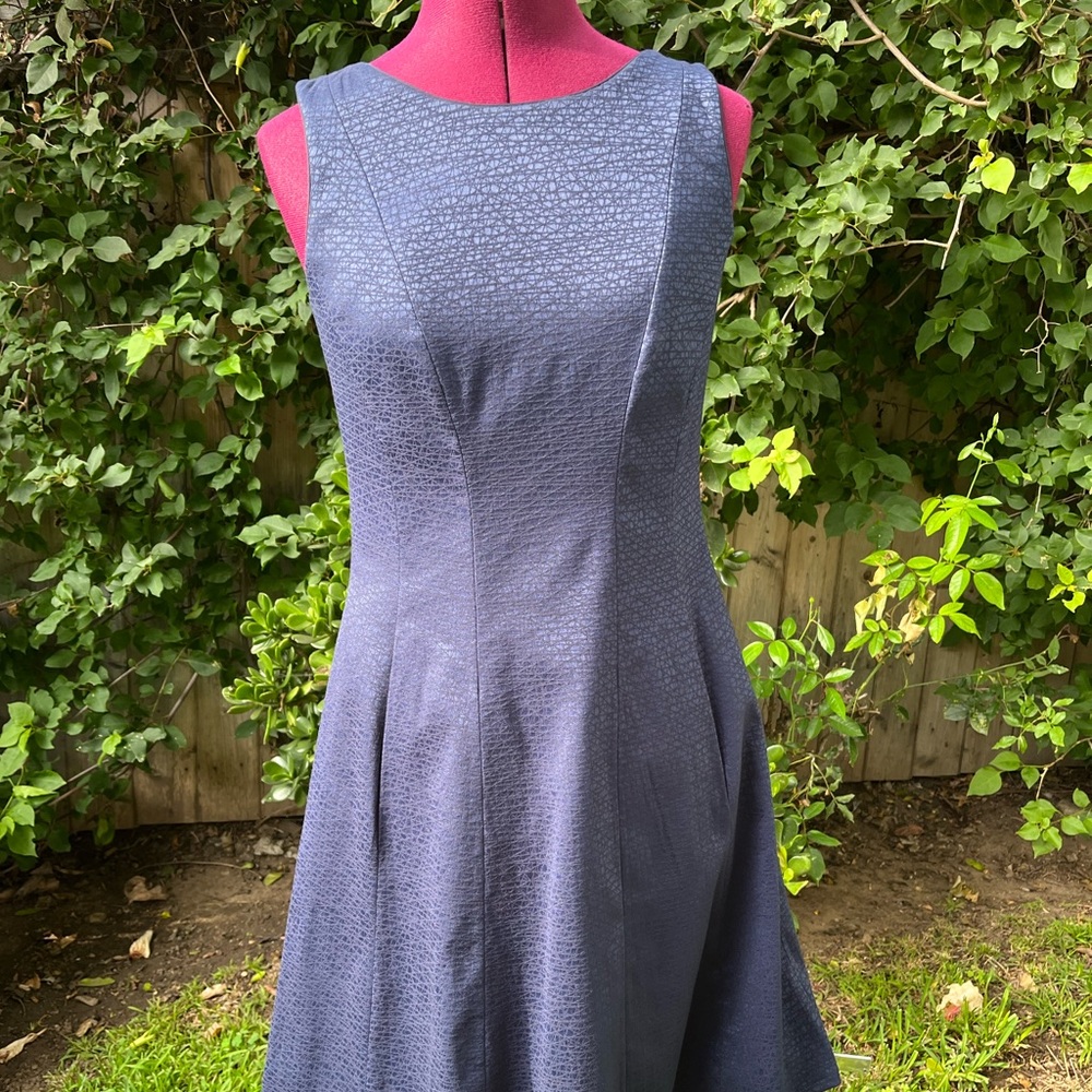 Nora Gardner navy dress with pockets!